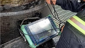 Pantalla con datos de revisión ademinsa